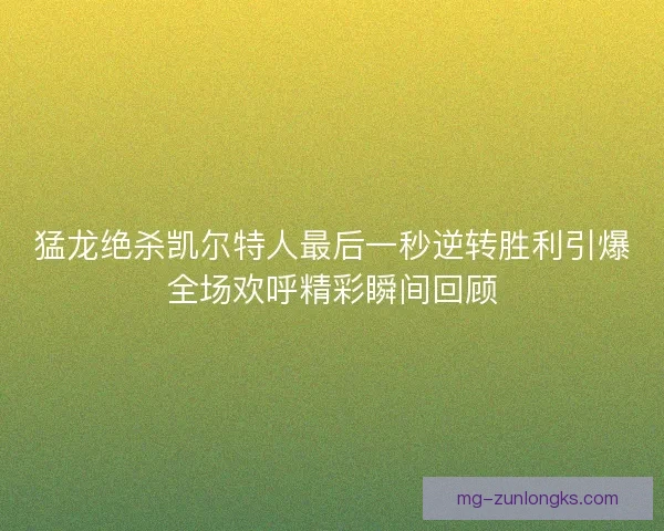 猛龙绝杀凯尔特人最后一秒逆转胜利引爆全场欢呼精彩瞬间回顾