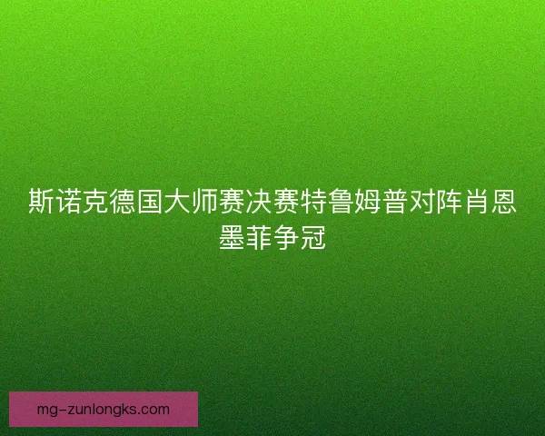 斯诺克德国大师赛决赛特鲁姆普对阵肖恩墨菲争冠